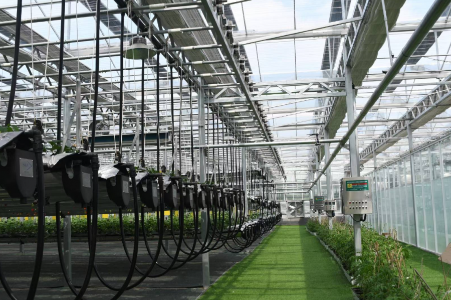 16768869088001634W7T.png 國(guó)金租賃農(nóng)業(yè)項(xiàng)目.png